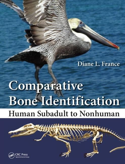 Comparative Bone Identification: Human Subadult to Nonhuman Medicine