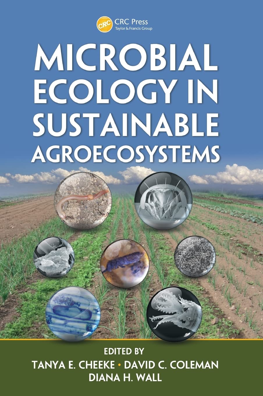 Microbial Ecology in Sustainable Agroecosystems (Advances in Agroecology) Mathematics