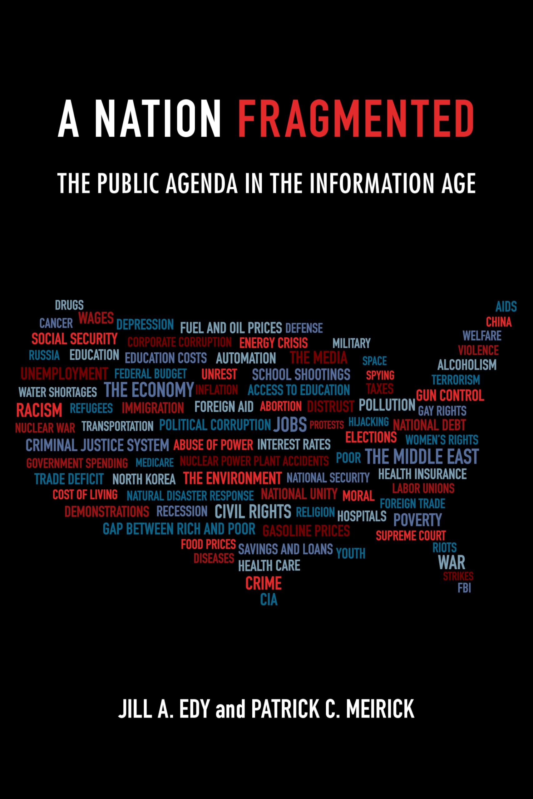 A Nation Fragmented: The Public Agenda in the Information Age book