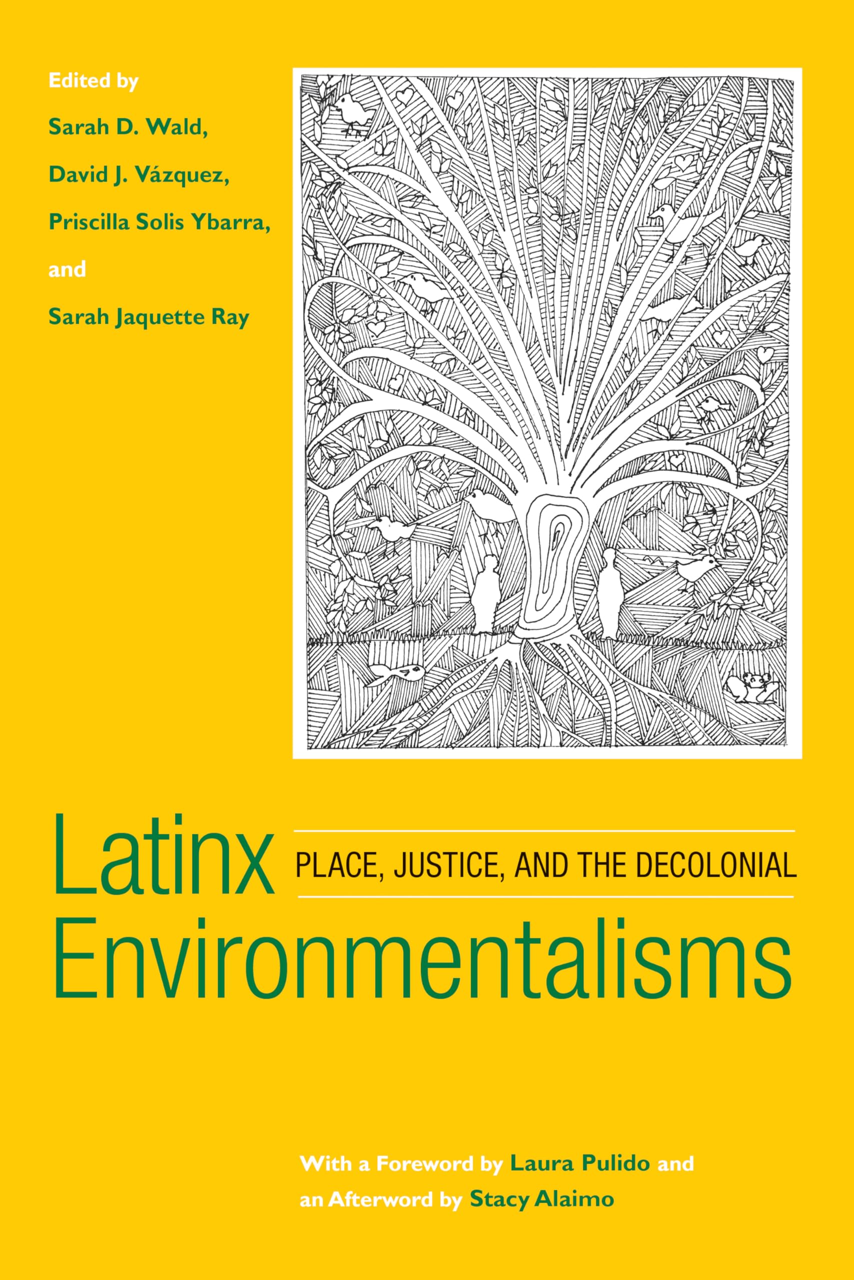 Latinx Environmentalisms: Place, Justice, and the Decolonial Contemporary literature