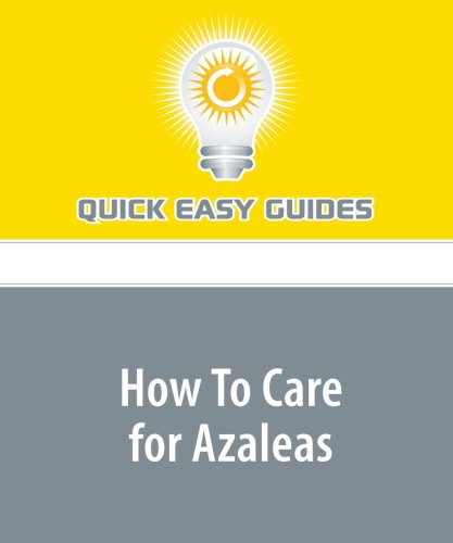 How To Care for Azaleas: Azaleas are Popular Houseplants During the Holiday Season Religion & Esotericism