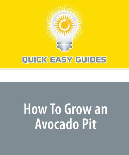 How To Grow an Avocado Pit: Watching an Avocado Pit Grow is a Great Project for Children Home & Household