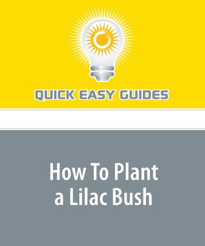 How To Plant a Lilac Bush: A Sweet Timeless Aroma Home & Household