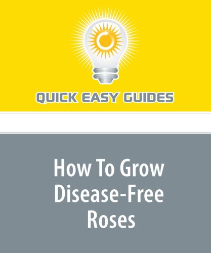 How To Grow Disease-Free Roses Home & Household