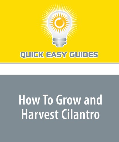 How To Grow and Harvest Cilantro Home & Household