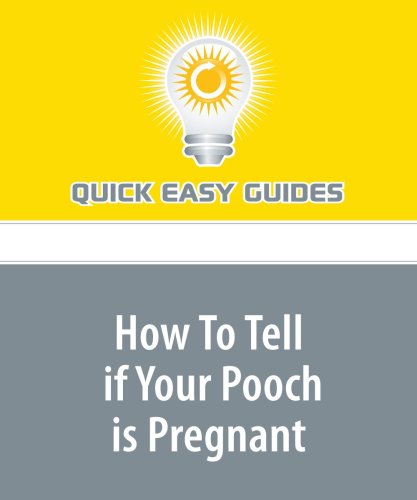 How To Tell if Your Pooch is Pregnant: Signs that Identify if a Puppy Litter is on the Way Pets
