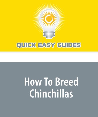 How To Breed Chinchillas: From Introduction to Kit Care Pets