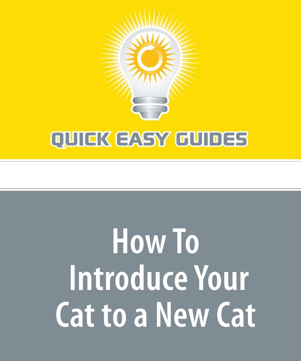 How To Introduce Your Cat to a New Cat: Helping Your Cats Become Friends Books
