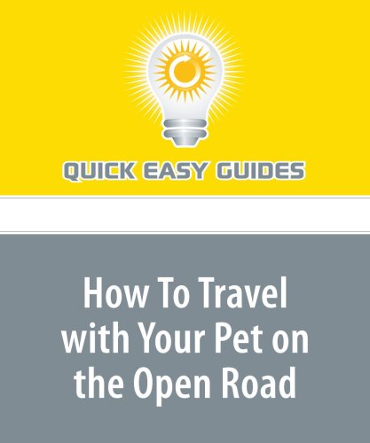 How To Travel with Your Pet on the Open Road Pets