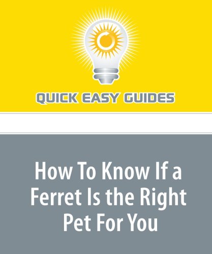 How To Know If a Ferret Is the Right Pet For You: Learn the Proper Care For a Ferret Pets