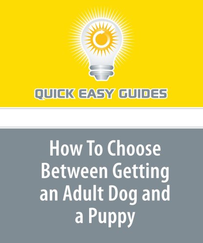 How To Choose Between Getting an Adult Dog and a Puppy Pets
