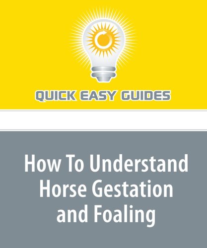 How To Understand Horse Gestation and Foaling Pets