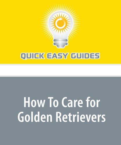 How To Care for Golden Retrievers Pets
