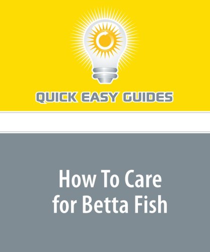 How To Care for Betta Fish: 6 Tips for Betta Fish Care Pets