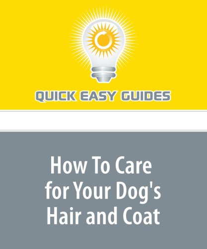 How To Care for Your Dog's Hair and Coat Pets