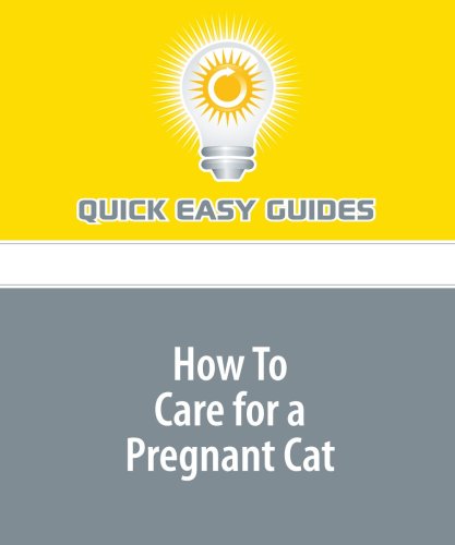 How To Care for a Pregnant Cat Pets