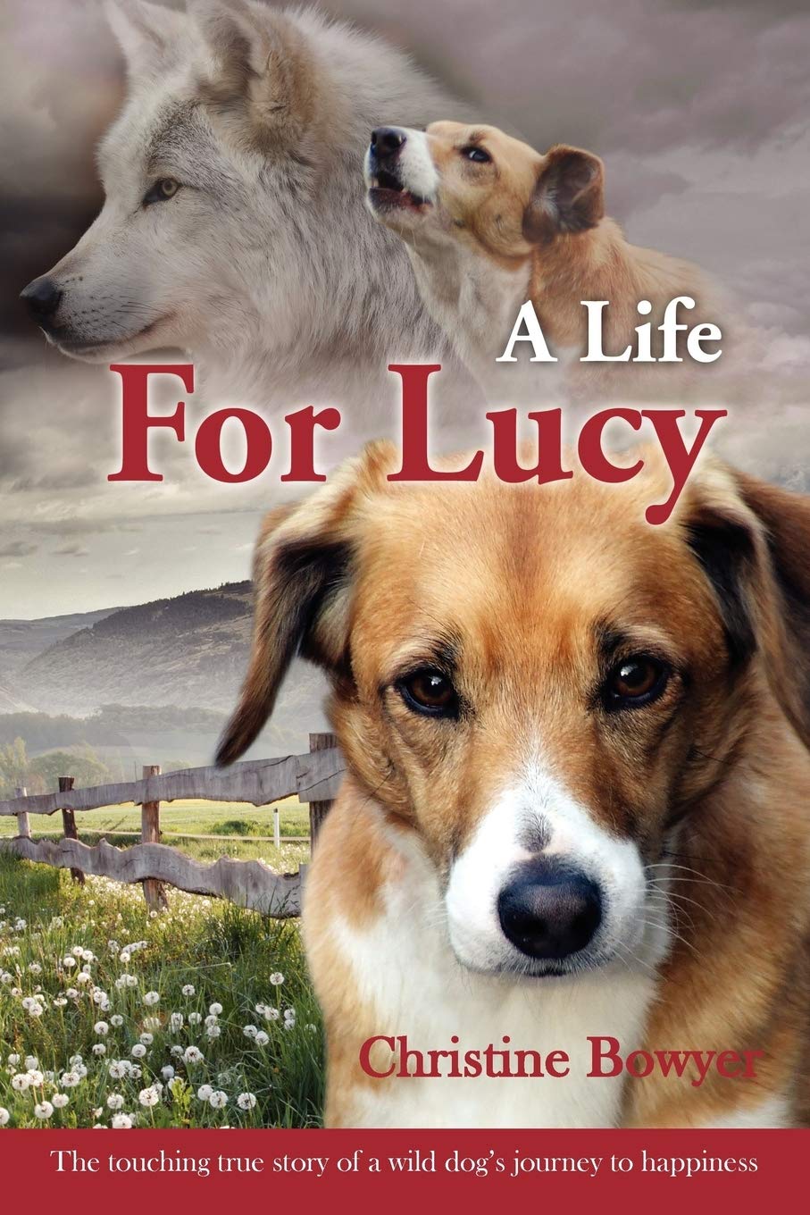 A Life For Lucy: The touching true story of a wild dog's journey to happiness. Art & Literature