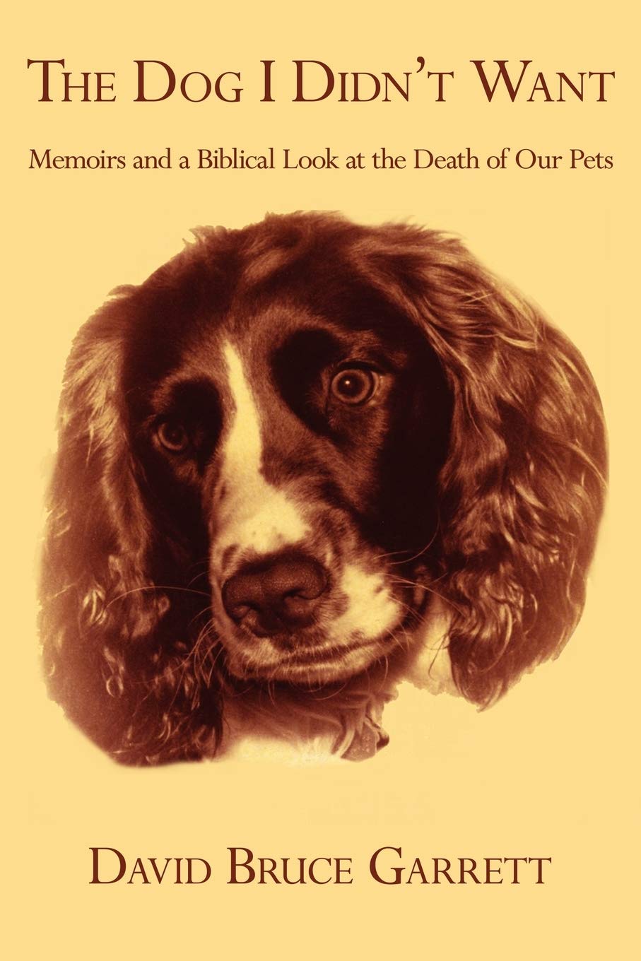 THE DOG I DIDN'T WANT Memories