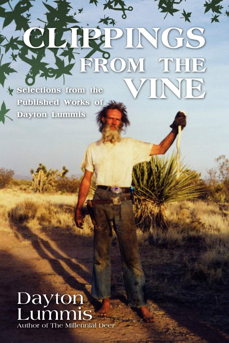 Clippings From The Vine: Selections From The Published Works Of Dayton Lummis Art & Literature