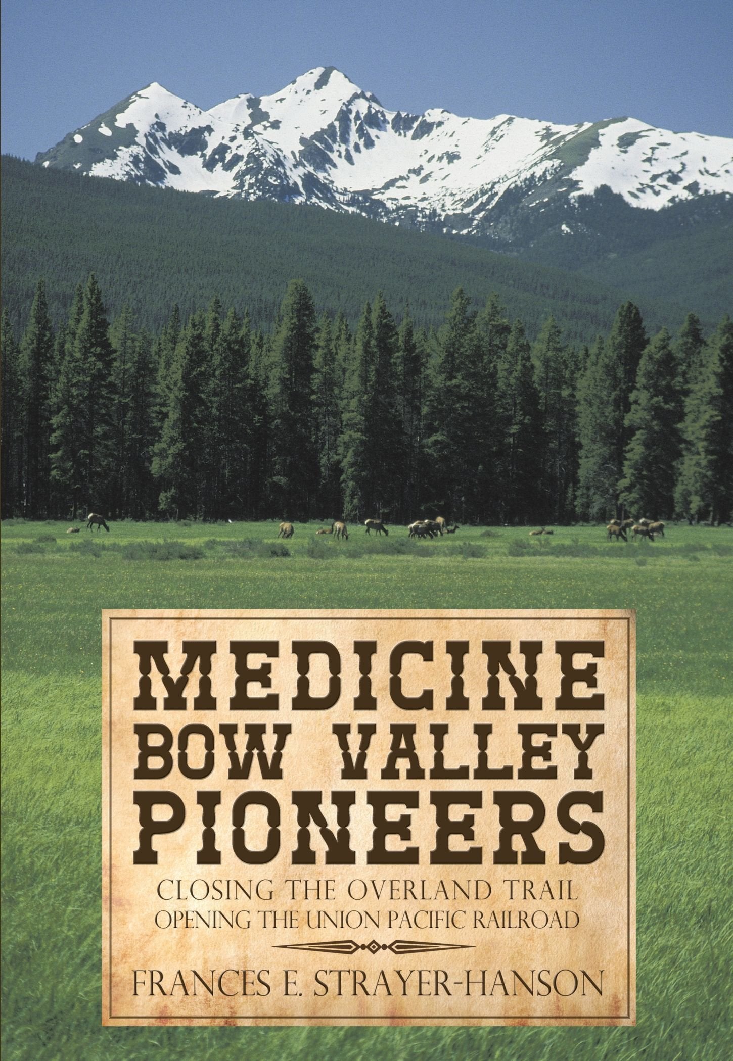 Medicine Bow Valley Pioneers: Closing the Overland Trail Opening the Union Pacific Railroad Politics & History