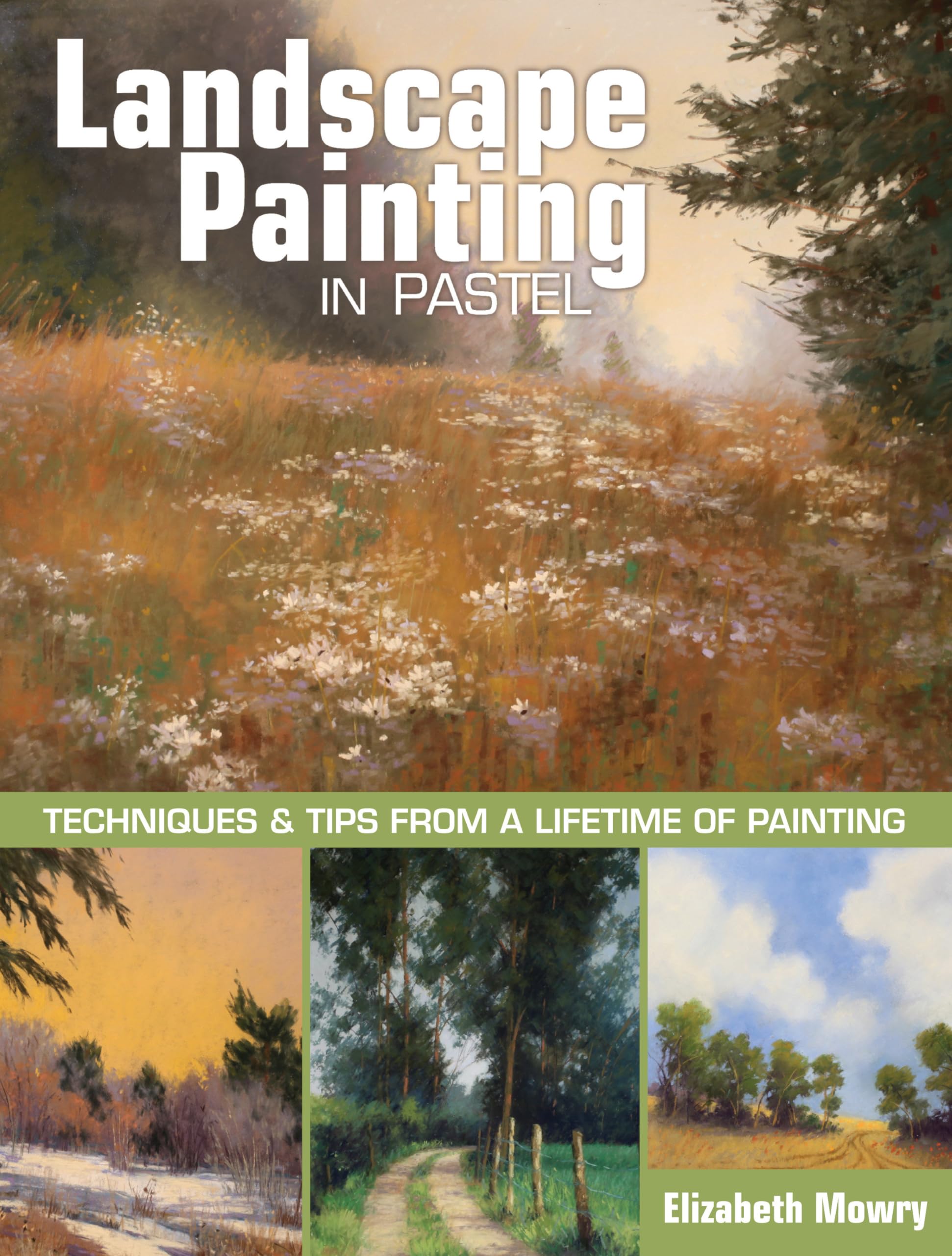 Landscape Painting in Pastel: Techniques and Tips from a Lifetime of Painting book