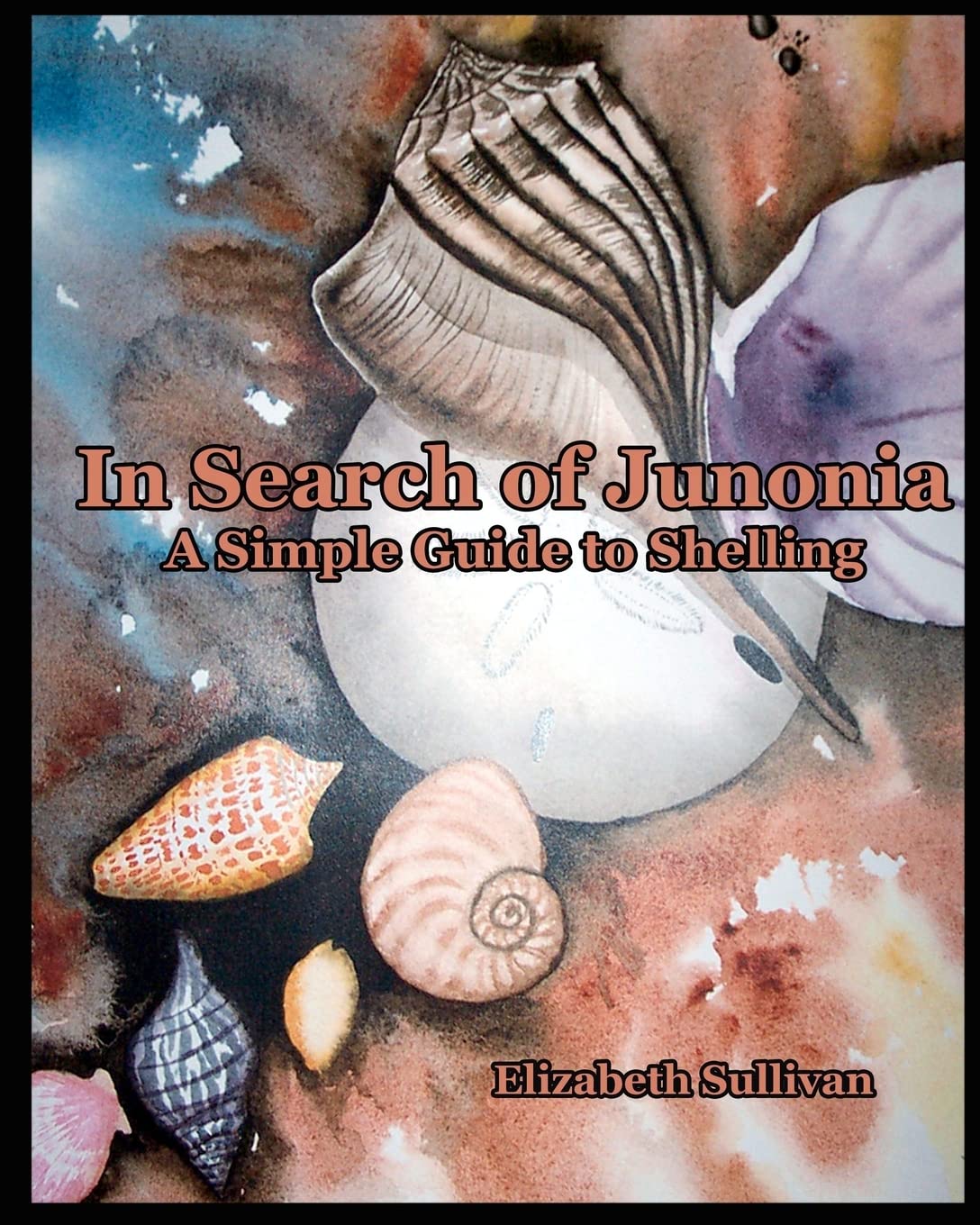 In Search Of Junonia: A Simple Guide To Shelling Mathematics