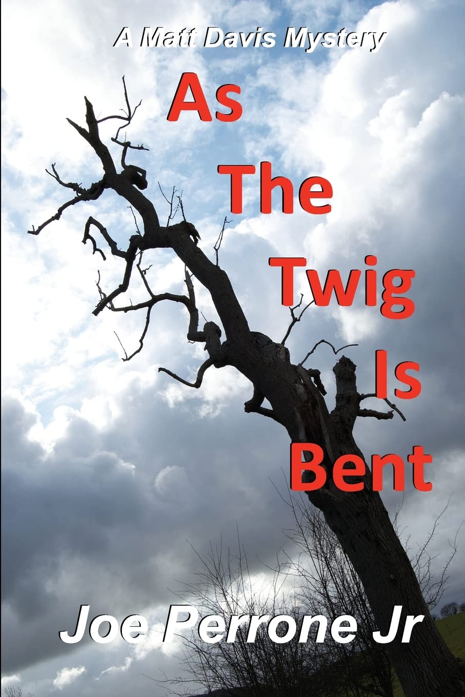 As The Twig Is Bent (The Matt Davis Mystery Series, Band 1) Action & Adventure