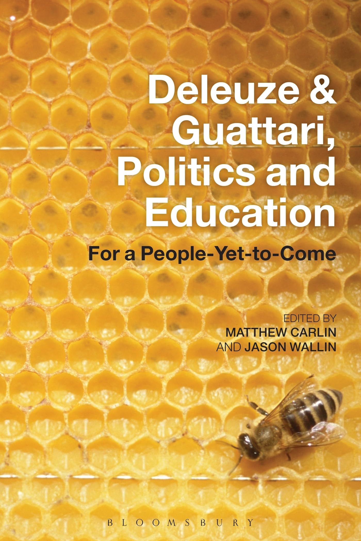 Deleuze and Guattari, Politics and Education Education & Training