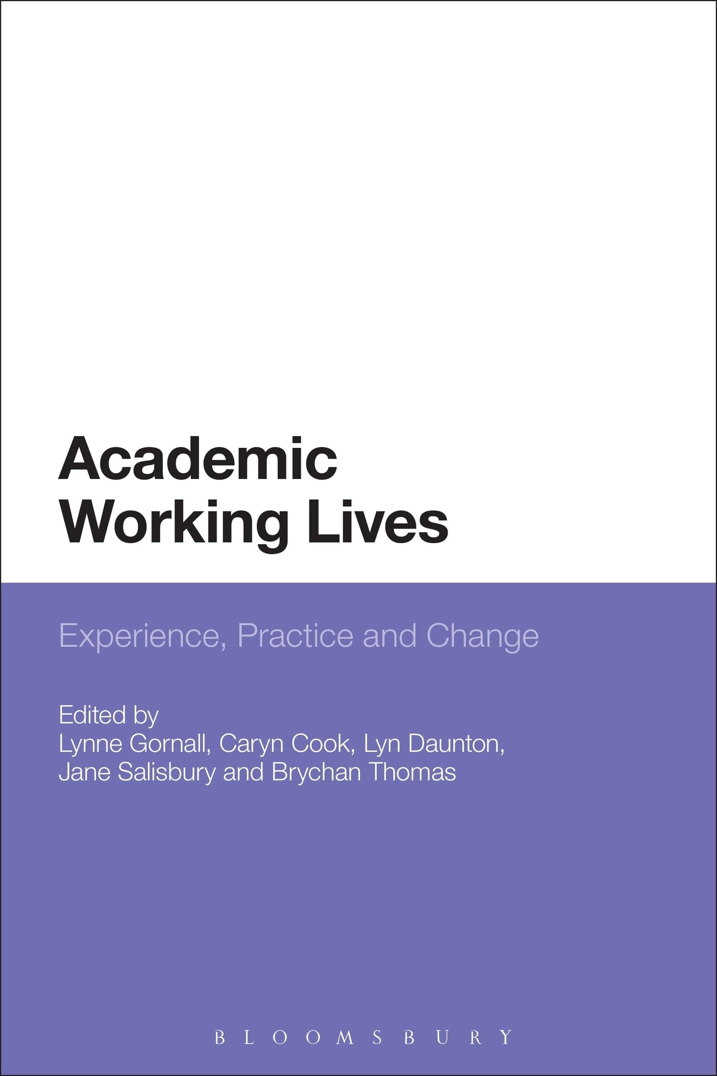 Product Image: Academic Working Lives