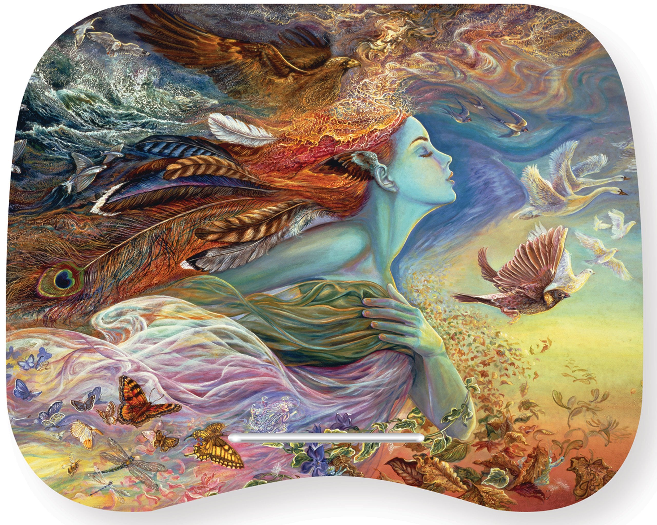 The Spirit of Flight Designer Lap Desk Books