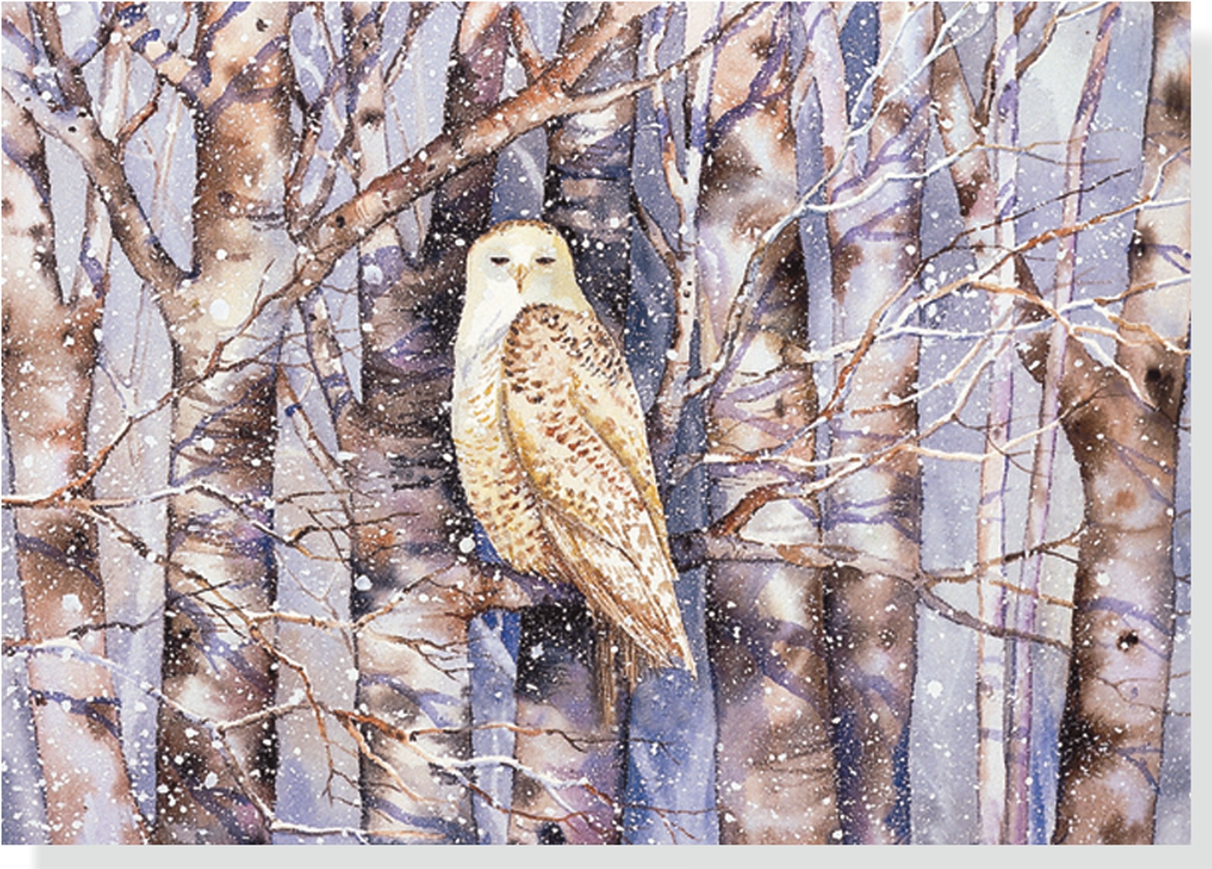 Snowy Owl Deluxe Holiday Cards: Silver Foil Books