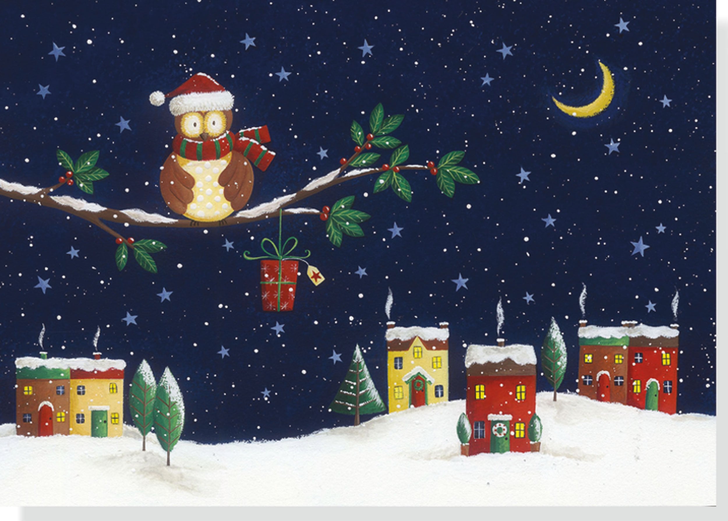 Jolly Owl Holiday Cards Books