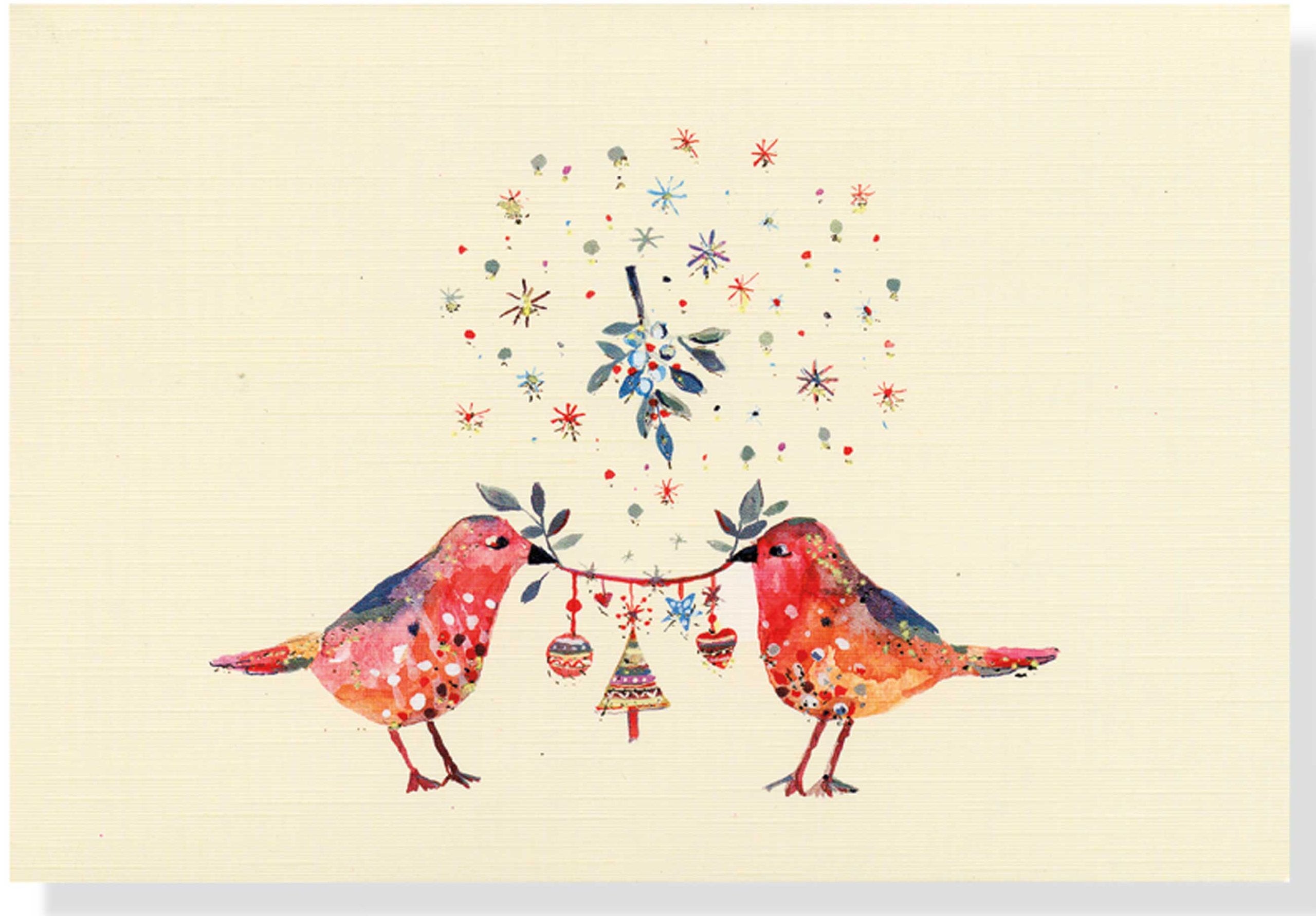 Birds and Mistletoe Boxed Small Holiday Cards Books