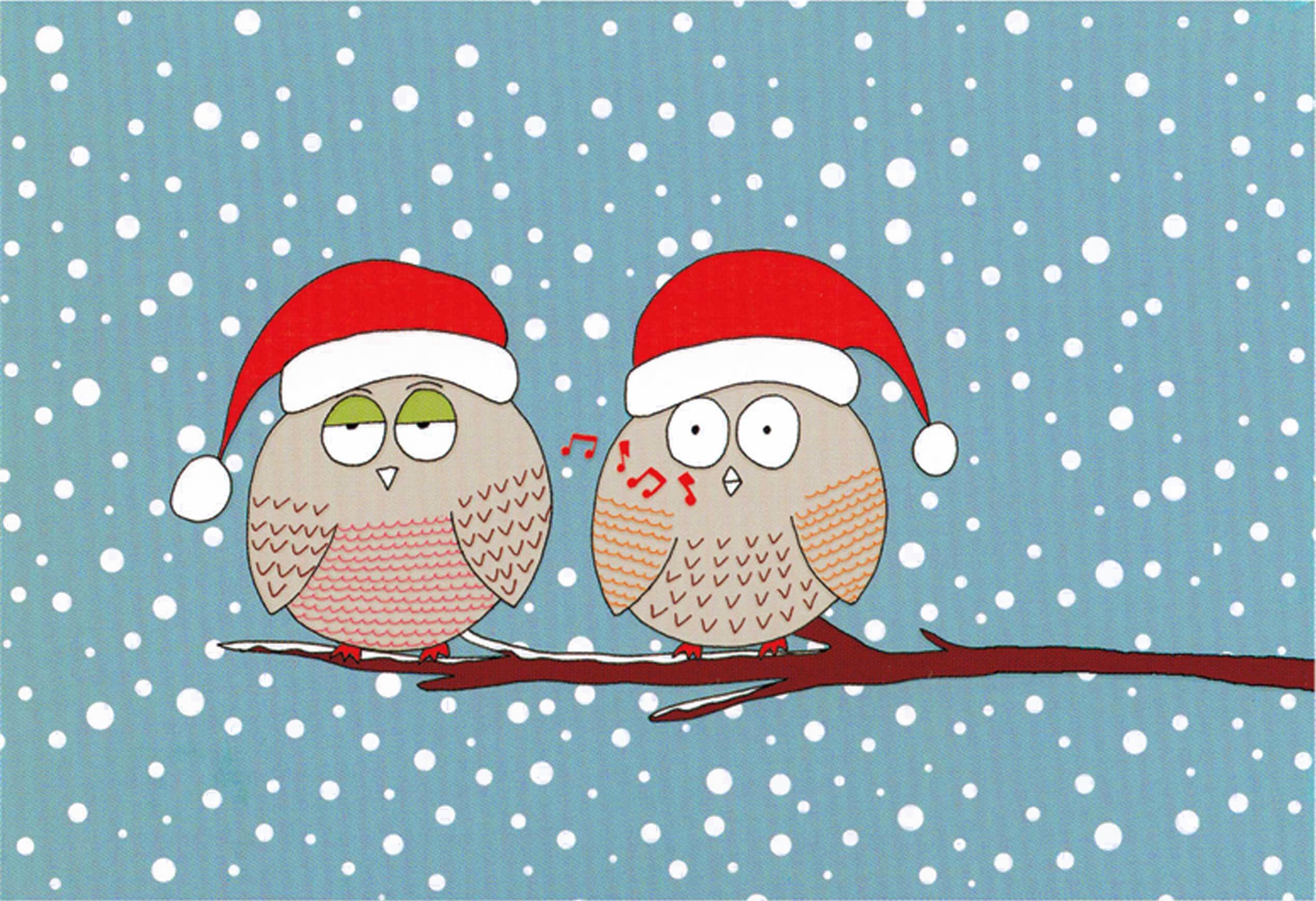 Whistling Owls Small Boxed Holiday Cards: Gloss Highlights Books