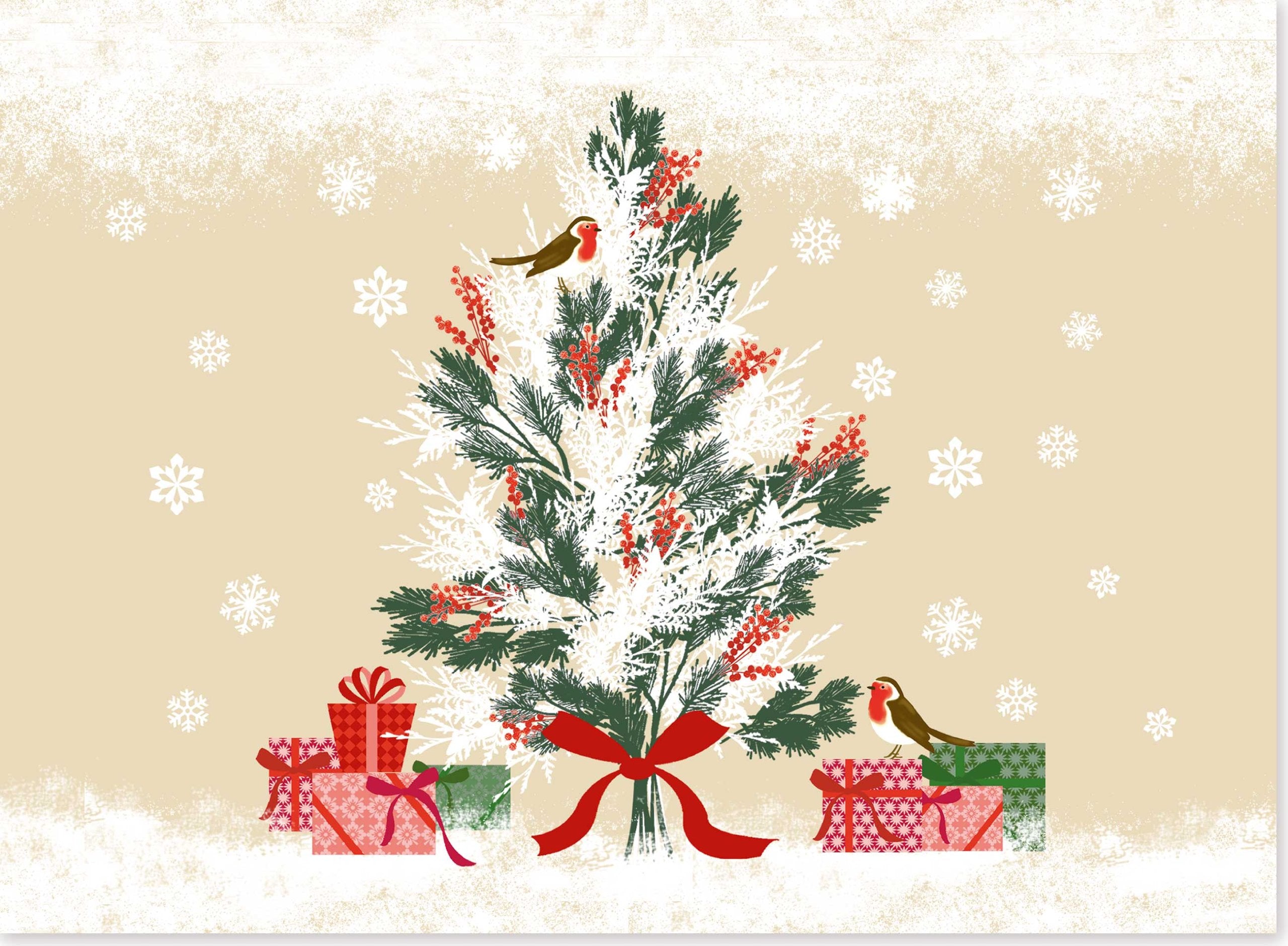 Birds, Berries, and Bows Deluxe Holiday Cards Books