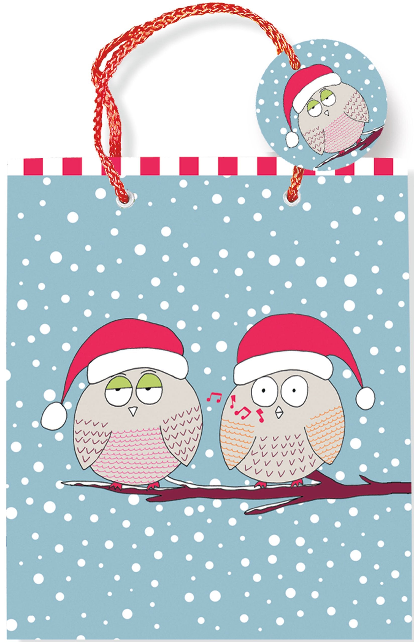 Deluxe Gift Bag Hol Whistling Owls Books