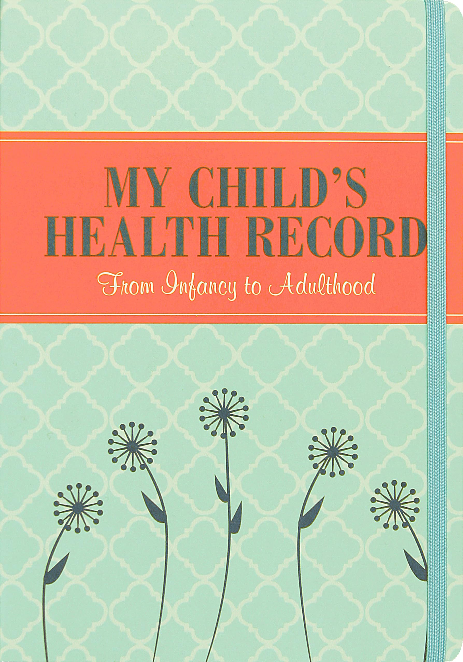 My Child's Health Record: From Infancy to Adulthood book