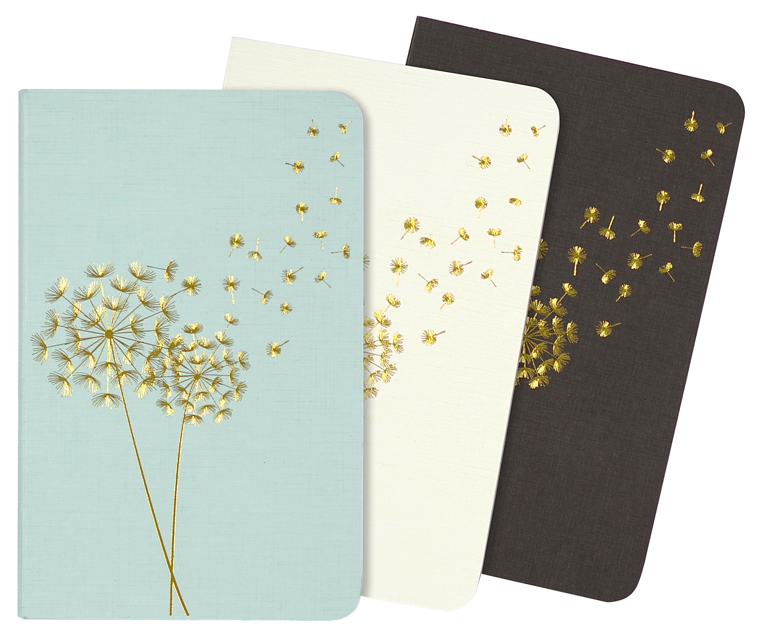 Ntbk Jotter Dandelion Wishes Books