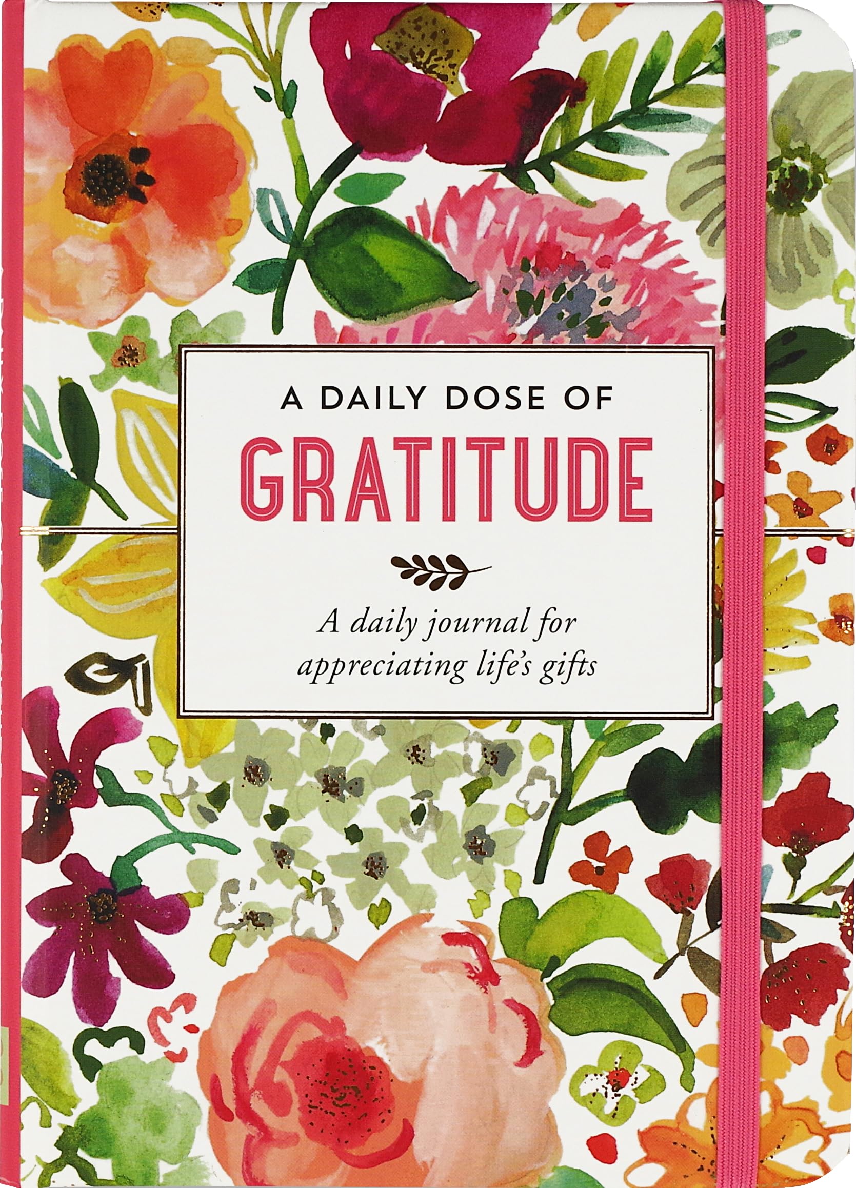 A Daily Dose of Gratitude Journal: A Daily Journal for Appreciating Life's Gifts book