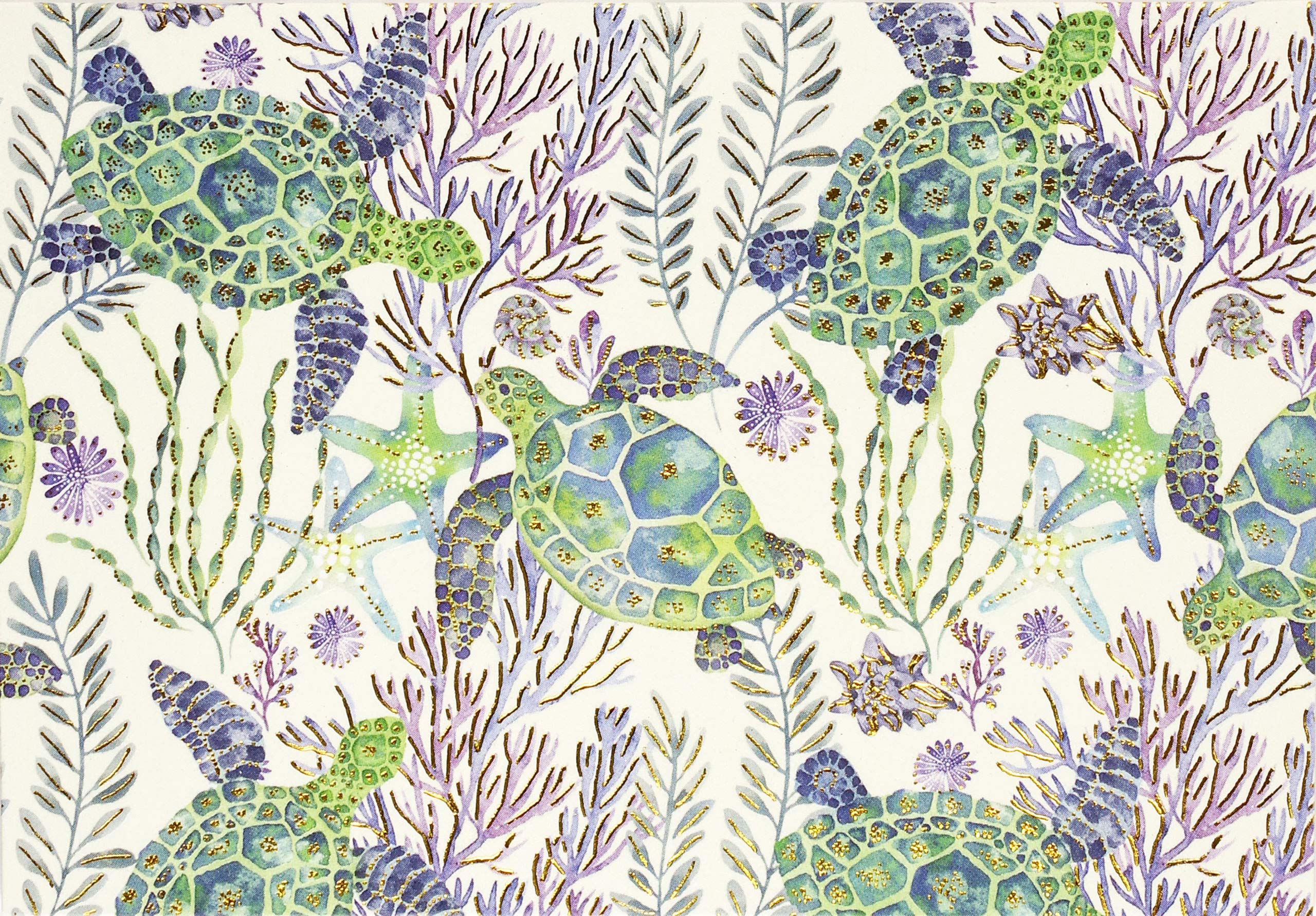 Sea Turtles Note Cards (Stationery, Boxed Cards) Books