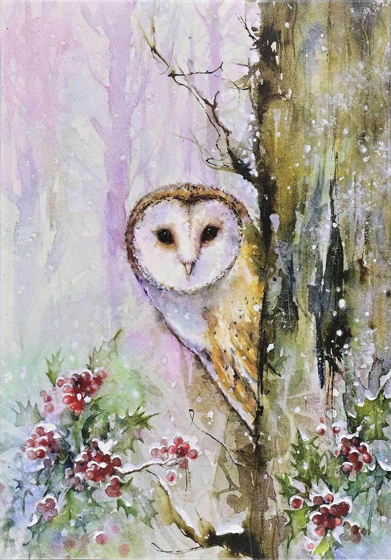 Woodland Owl Small Boxed Holiday Cards (20 cards, 21 self-sealing envelopes) Books