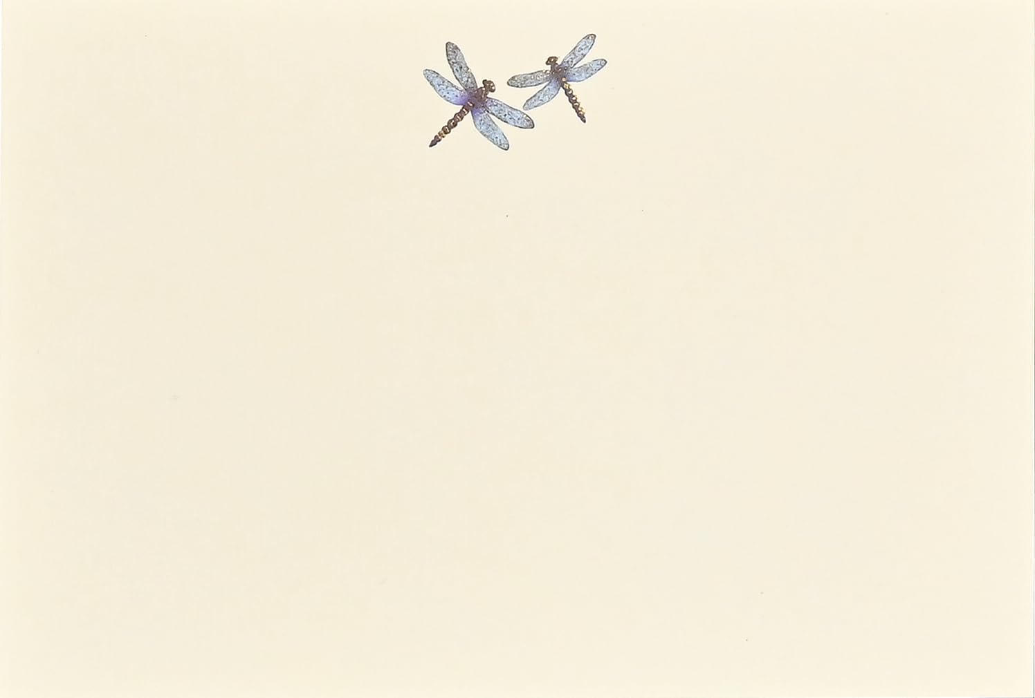 Blue Dragonflies Correspondence Cards (25 cards, 26 self-sealing envelopes) Books