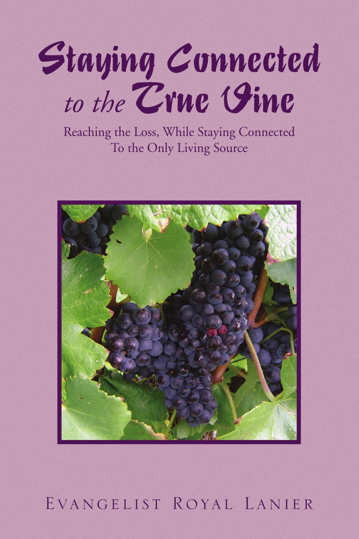 Staying Connected to the True Vine: Reaching the Loss, While Staying Connected To the Only Living Source Poetry