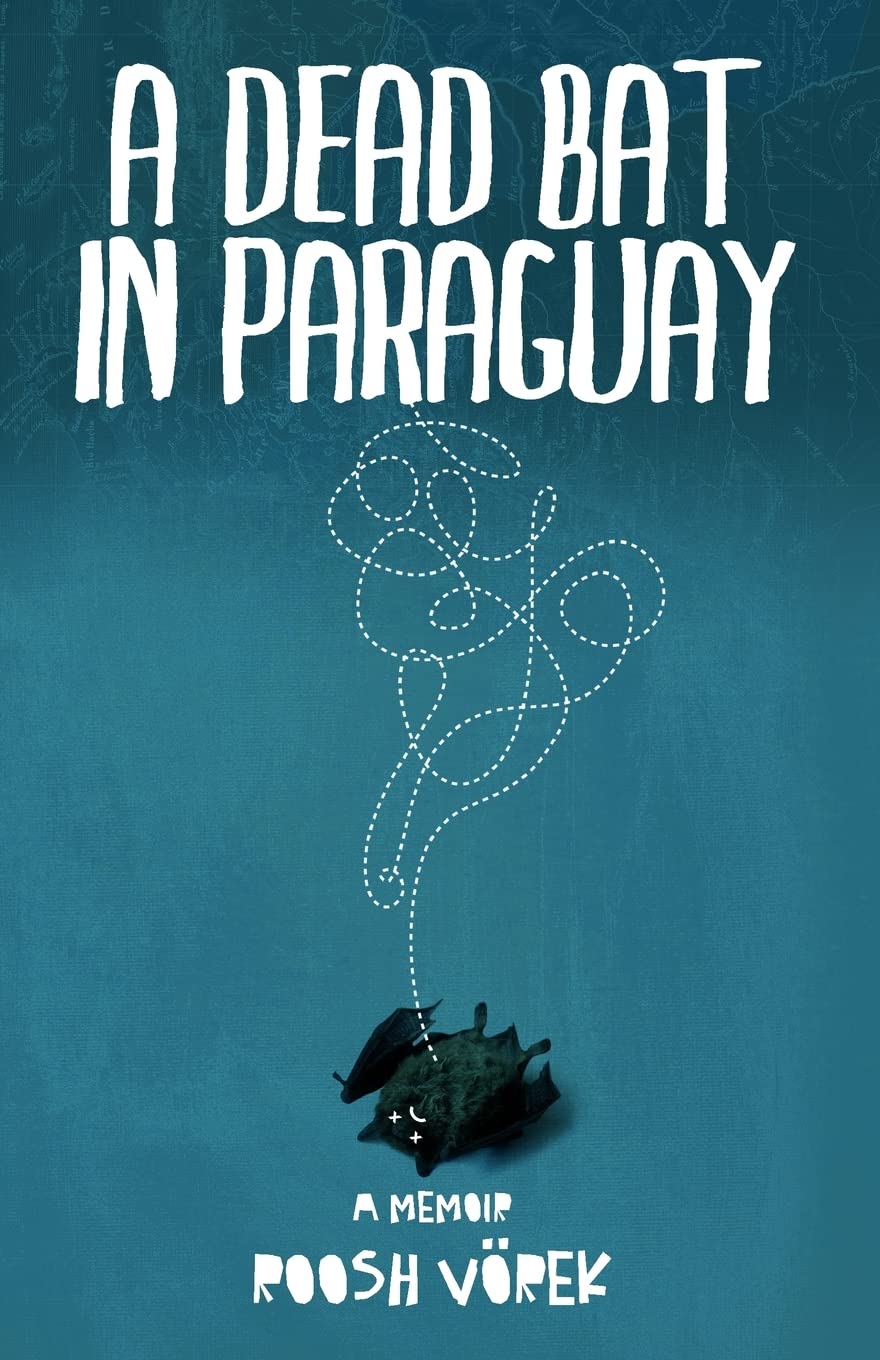 A Dead Bat In Paraguay: One Man's Peculiar Journey Through South America Travel