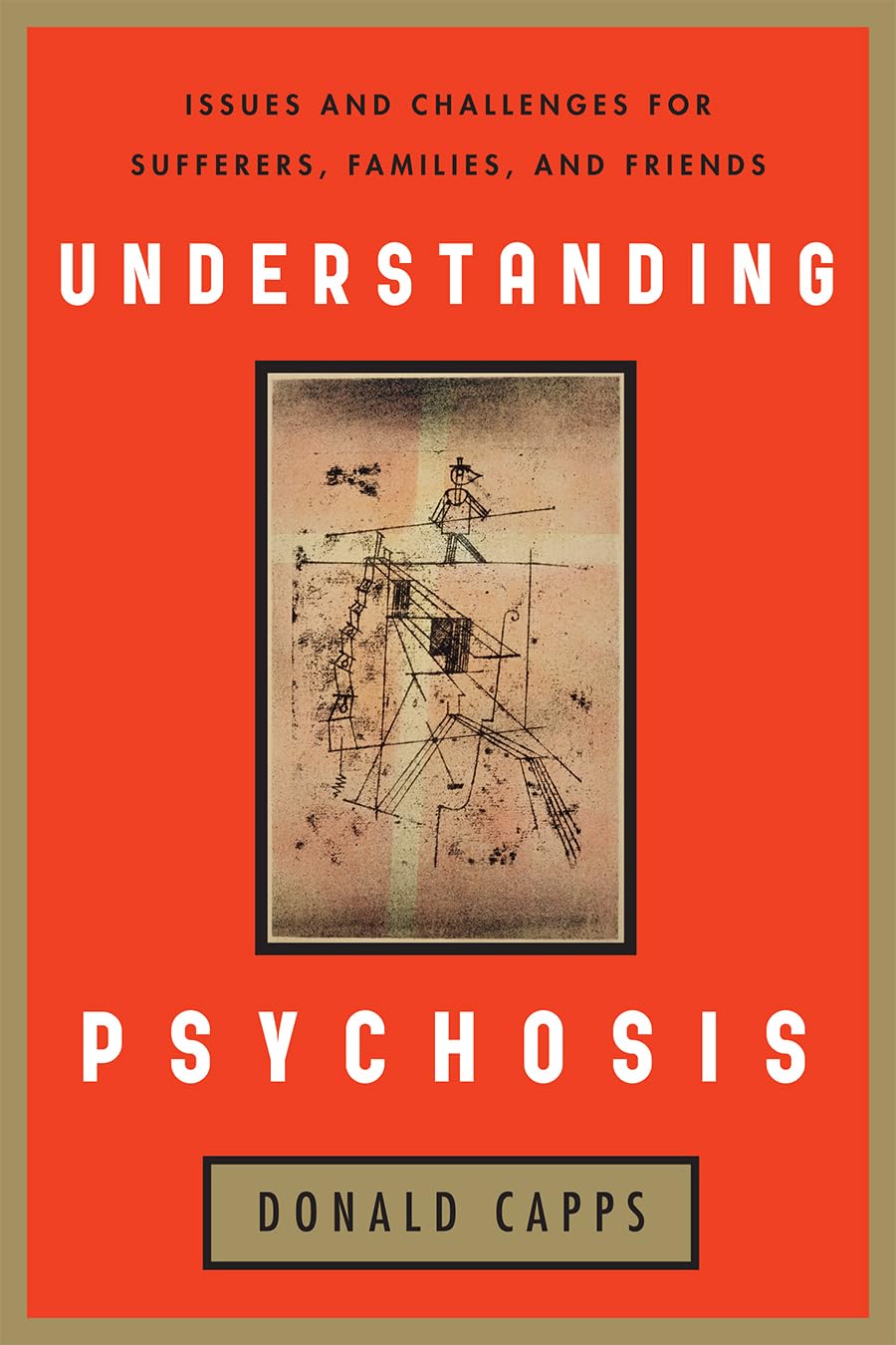 Understanding Psychosis: Issues and Challenges for Sufferers, Families, and Friends book