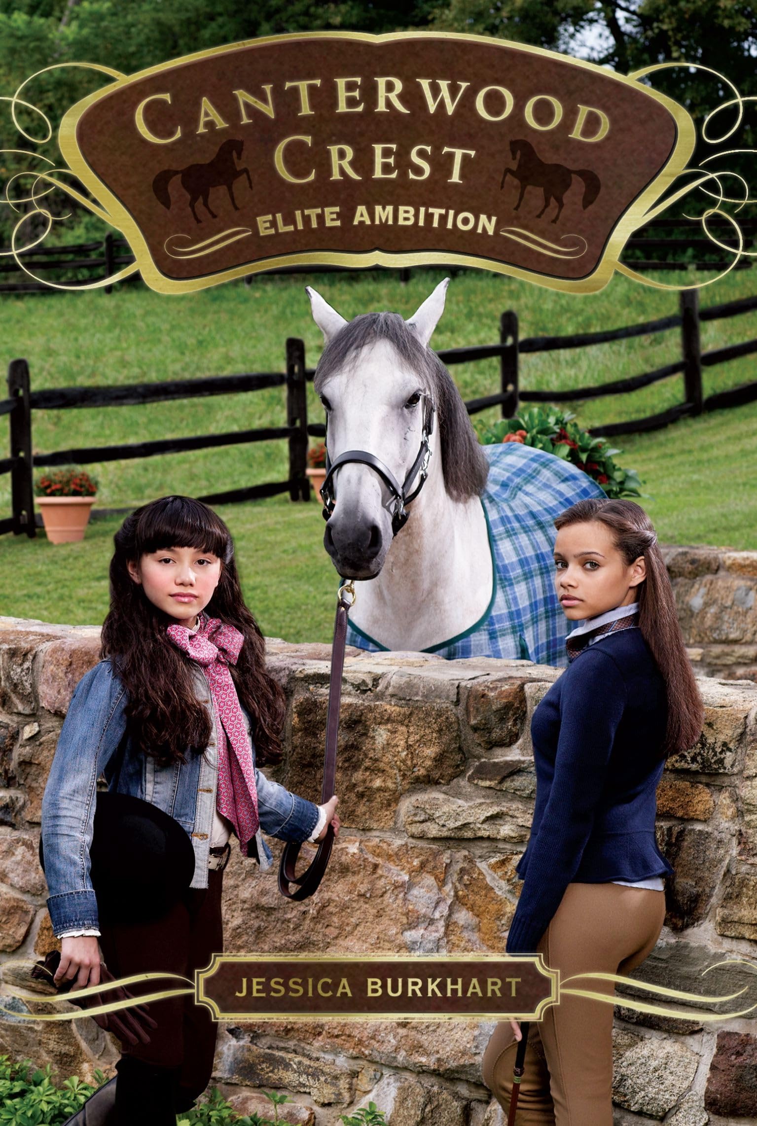 Elite Ambition (Volume 10) (Canterwood Crest, Band 10) Non-fiction