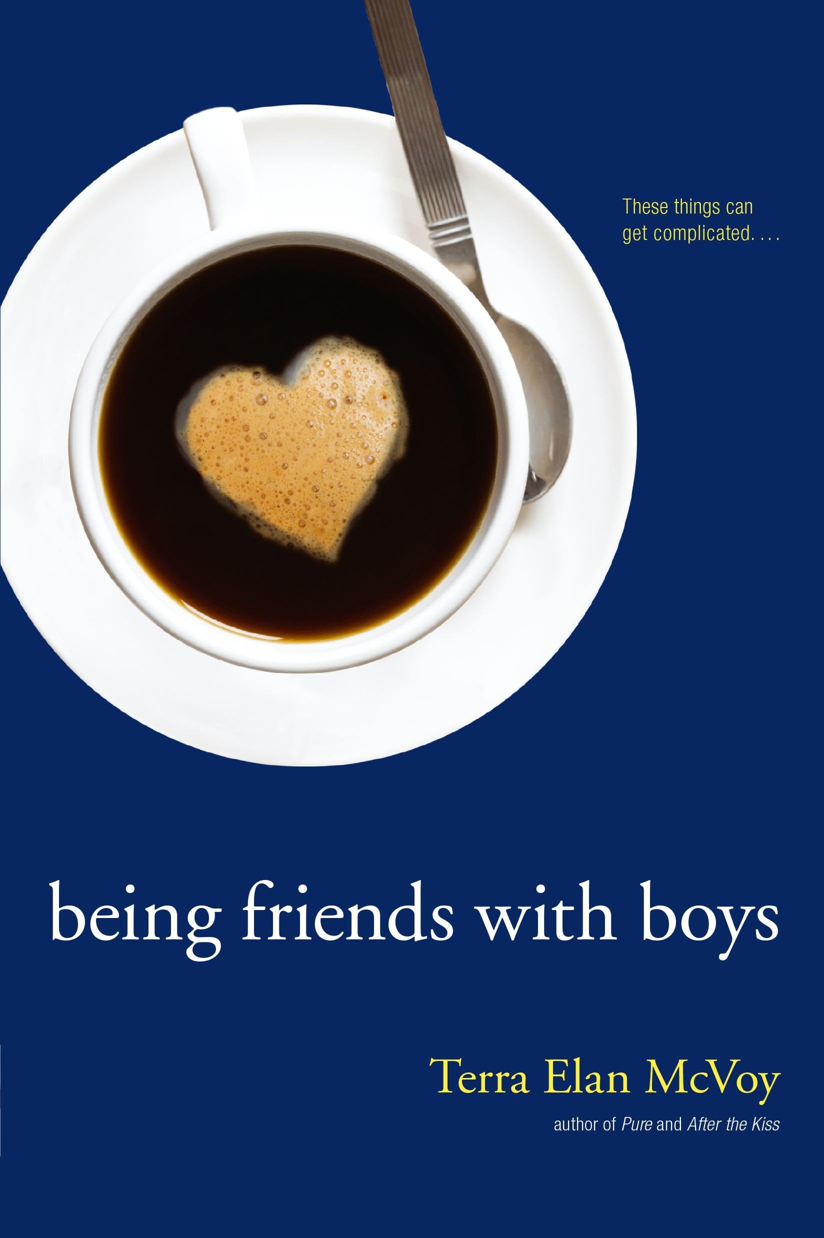 Being Friends with Boys Fiction