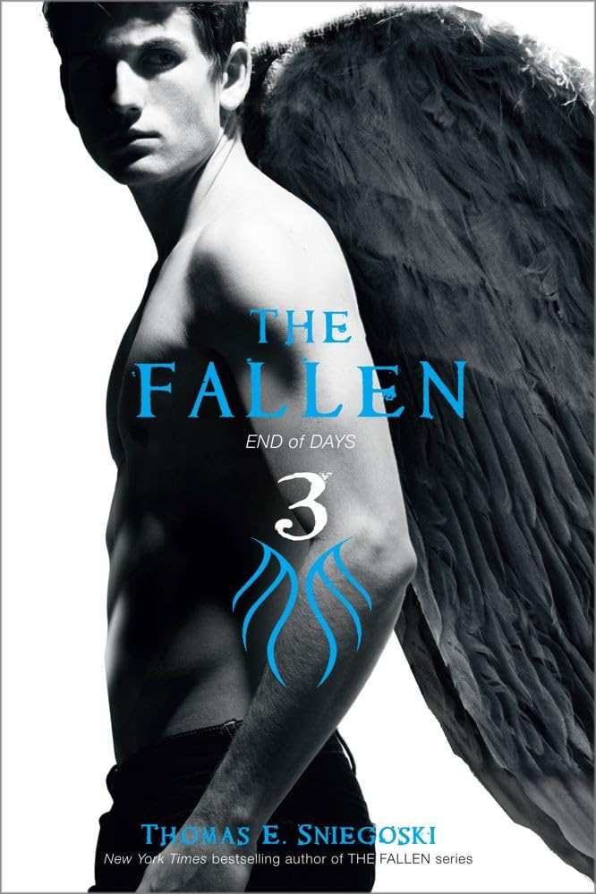 The Fallen 3: End of Days (Volume 3) book