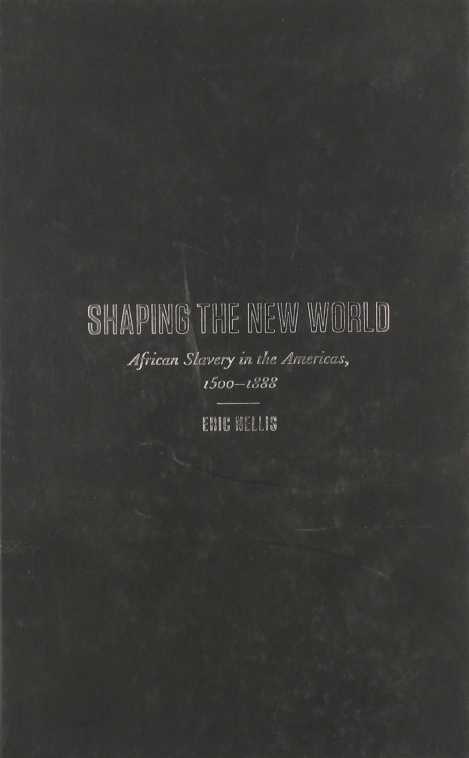 Shaping the New World: African Slavery in the Americas, 1500-1888 (International Themes and Issues, 3, Band 3) Social Sciences
