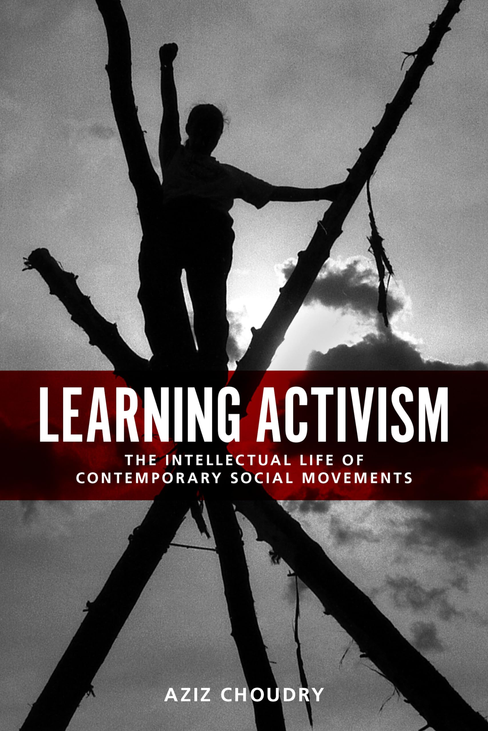 Learning Activism: The Intellectual Life of Contemporary Social Movements Books